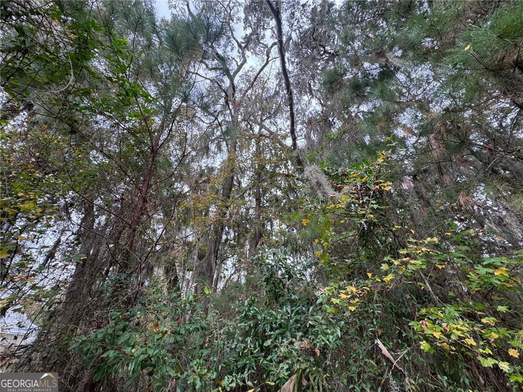 Lot 139 Canopy Lane Waverly GA 31565