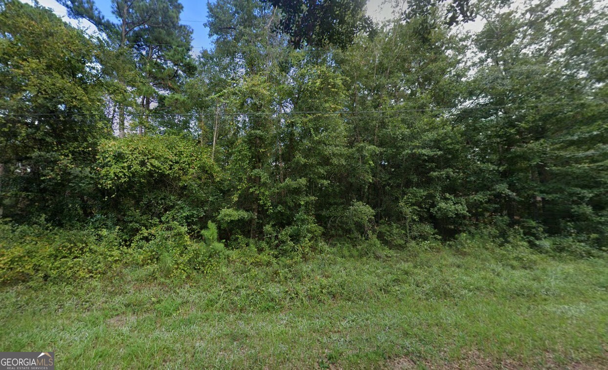 233 Collins Drive Brunswick GA 31523