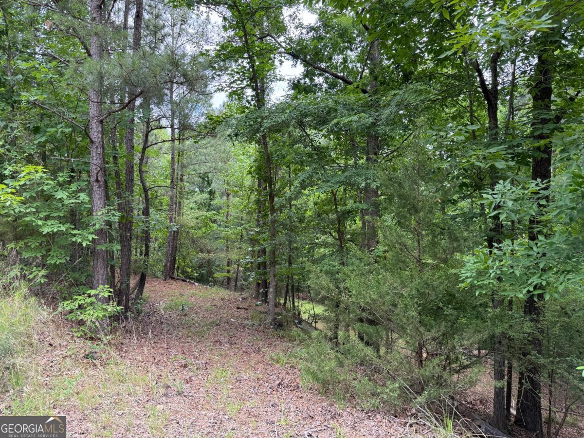 Lot 52 Bramlett Creek Elberton GA 30635