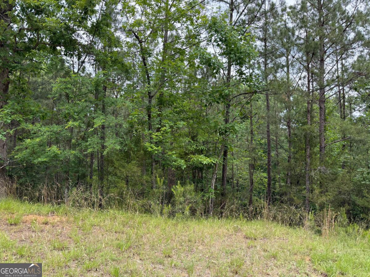 Lot 52 Bramlett Creek Elberton GA 30635