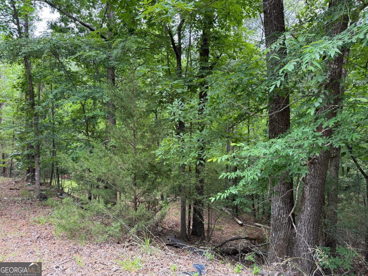 Lot 52 Bramlett Creek Elberton GA 30635