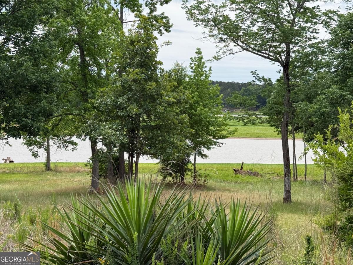 Lot 52 Bramlett Creek Elberton GA 30635