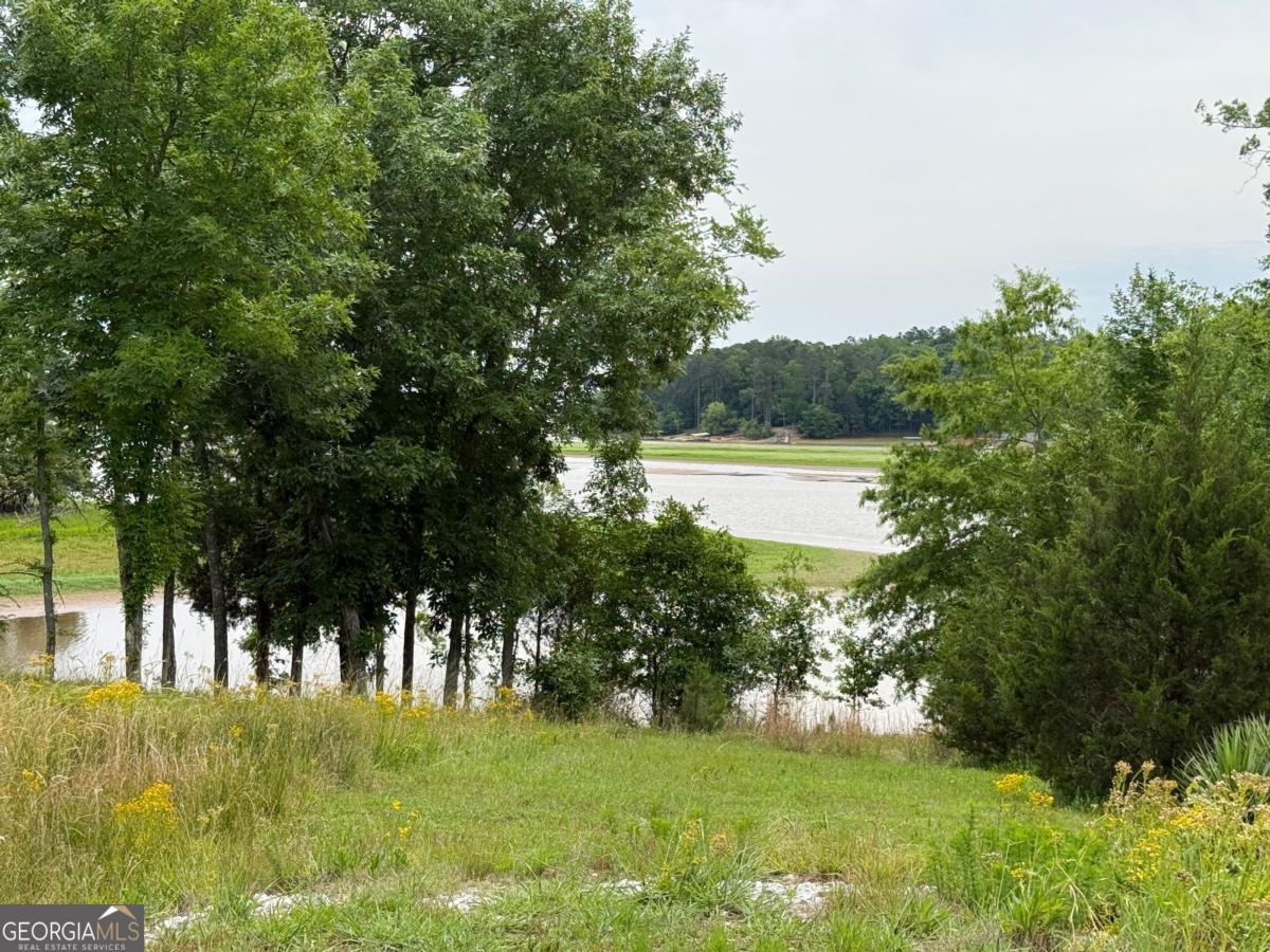 Lot 52 Bramlett Creek Elberton GA 30635