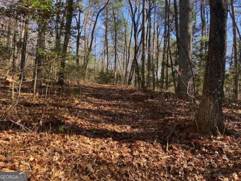 0 Whippoorwill Lane Cleveland GA 30528