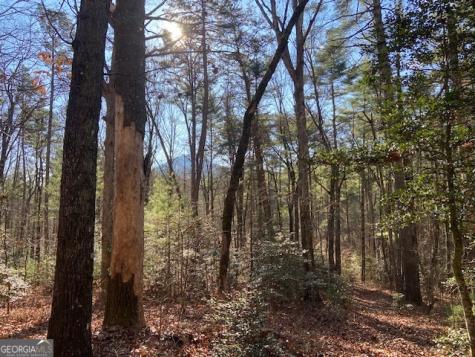 0 Whippoorwill Lane Cleveland GA 30528