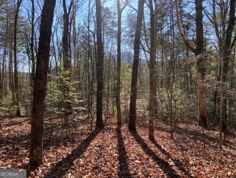 0 Whippoorwill Lane Cleveland GA 30528