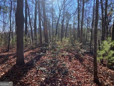 0 Whippoorwill Lane Cleveland GA 30528