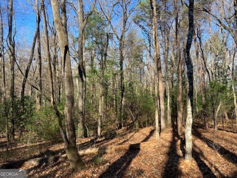 0 Whippoorwill Lane Cleveland GA 30528