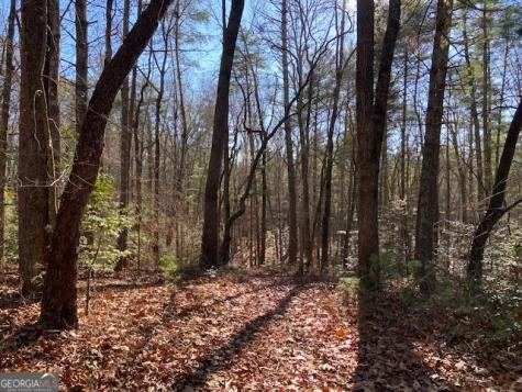 0 Whippoorwill Lane Cleveland GA 30528