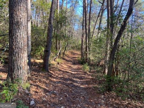 0 Whippoorwill Lane Cleveland GA 30528