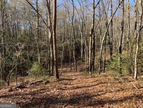 0 Whippoorwill Lane Cleveland GA 30528