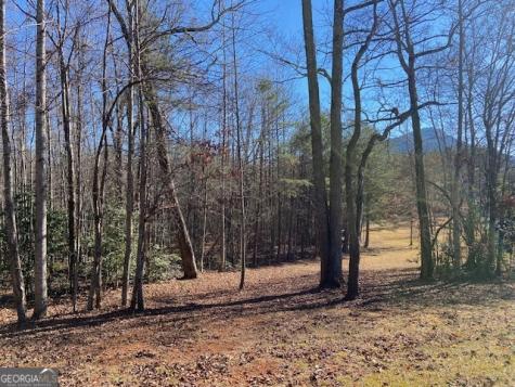 0 Whippoorwill Lane Cleveland GA 30528