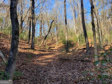 0 Whippoorwill Lane Cleveland GA 30528