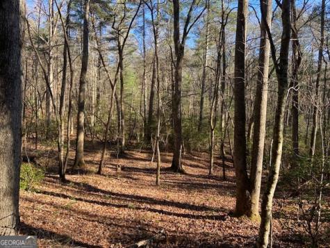0 Whippoorwill Lane Cleveland GA 30528