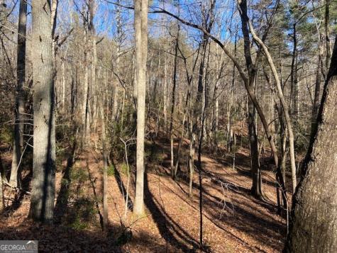0 Whippoorwill Lane Cleveland GA 30528