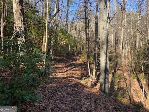 0 Whippoorwill Lane Cleveland GA 30528