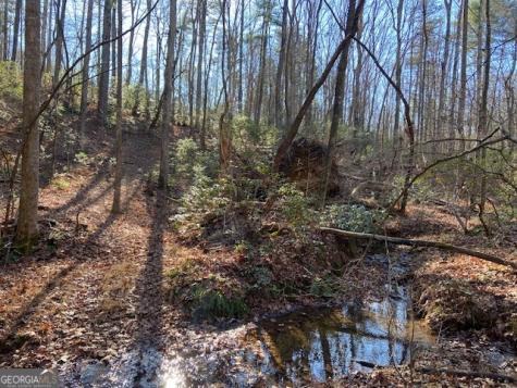 0 Whippoorwill Lane Cleveland GA 30528