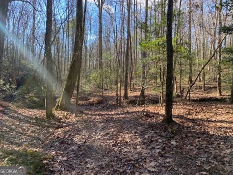 0 Whippoorwill Lane Cleveland GA 30528