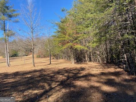 0 Whippoorwill Lane Cleveland GA 30528