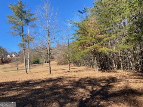 0 Whippoorwill Lane Cleveland GA 30528