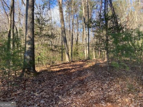 0 Whippoorwill Lane Cleveland GA 30528