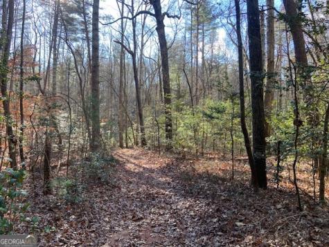 0 Whippoorwill Lane Cleveland GA 30528
