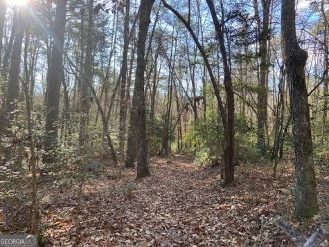 0 Whippoorwill Lane Cleveland GA 30528