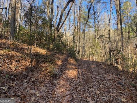 0 Whippoorwill Lane Cleveland GA 30528