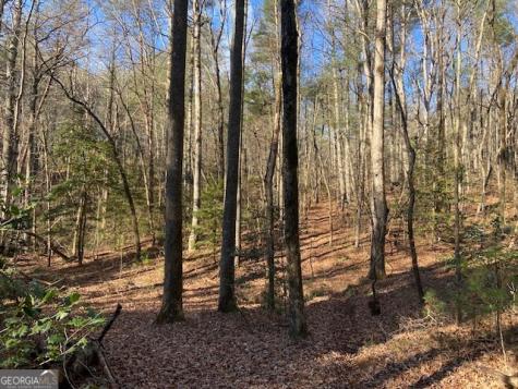 0 Whippoorwill Lane Cleveland GA 30528