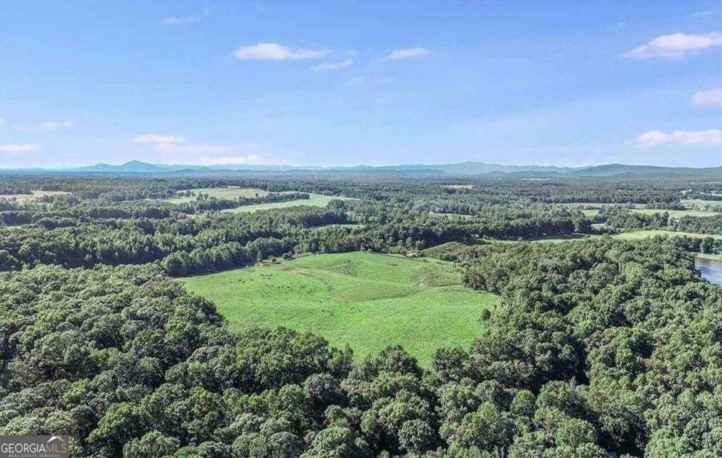 1340 441 Express Way Mount Airy GA 30563