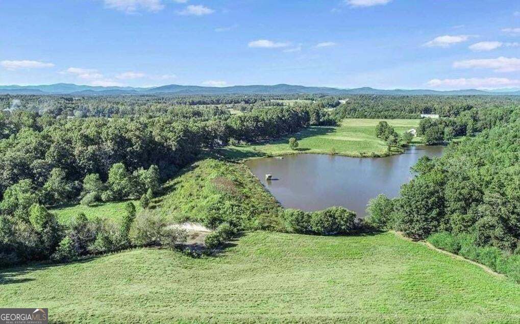 1340 441 Express Way Mount Airy GA 30563
