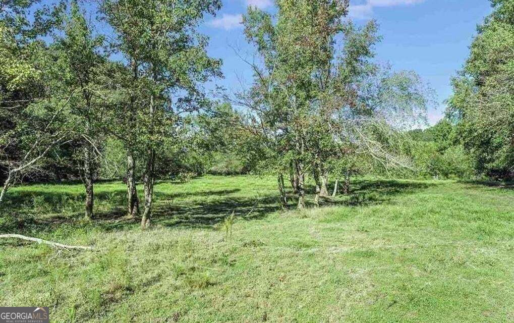 1340 441 Express Way Mount Airy GA 30563