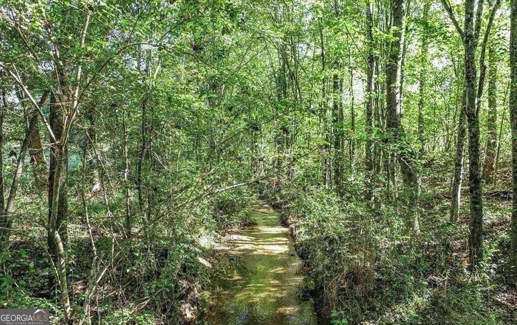 1340 441 Express Way Mount Airy GA 30563