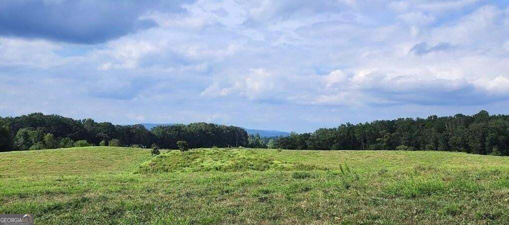 1340 441 Express Way Mount Airy GA 30563
