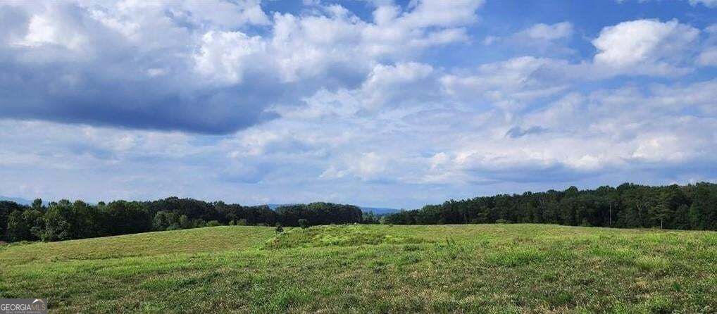 1340 441 Express Way Mount Airy GA 30563