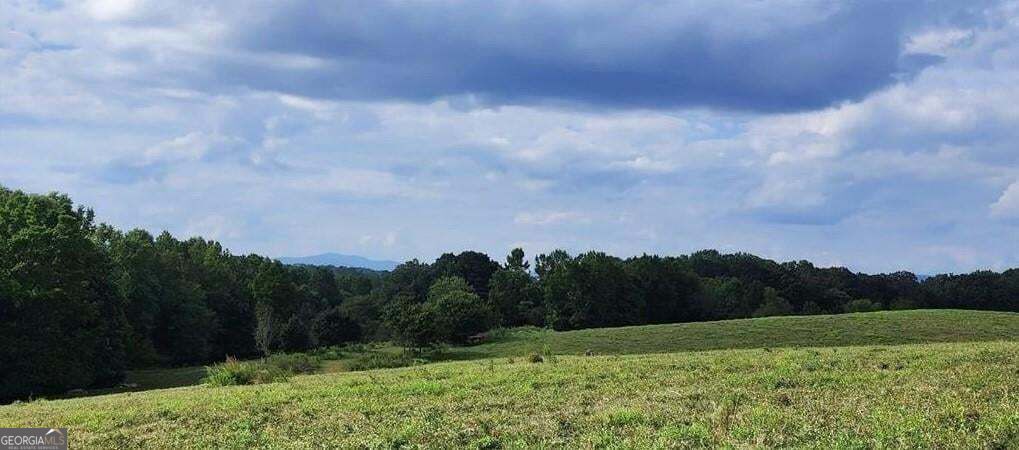 1340 441 Express Way Mount Airy GA 30563