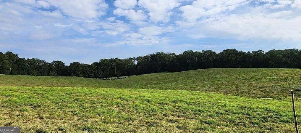 1340 441 Express Way Mount Airy GA 30563
