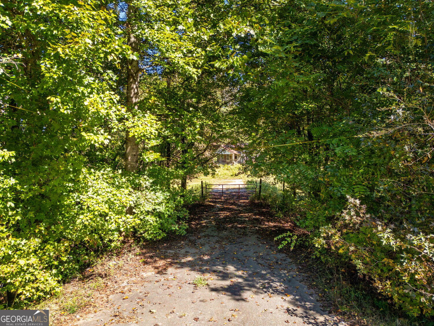 1340 441 Express Way Mount Airy GA 30563