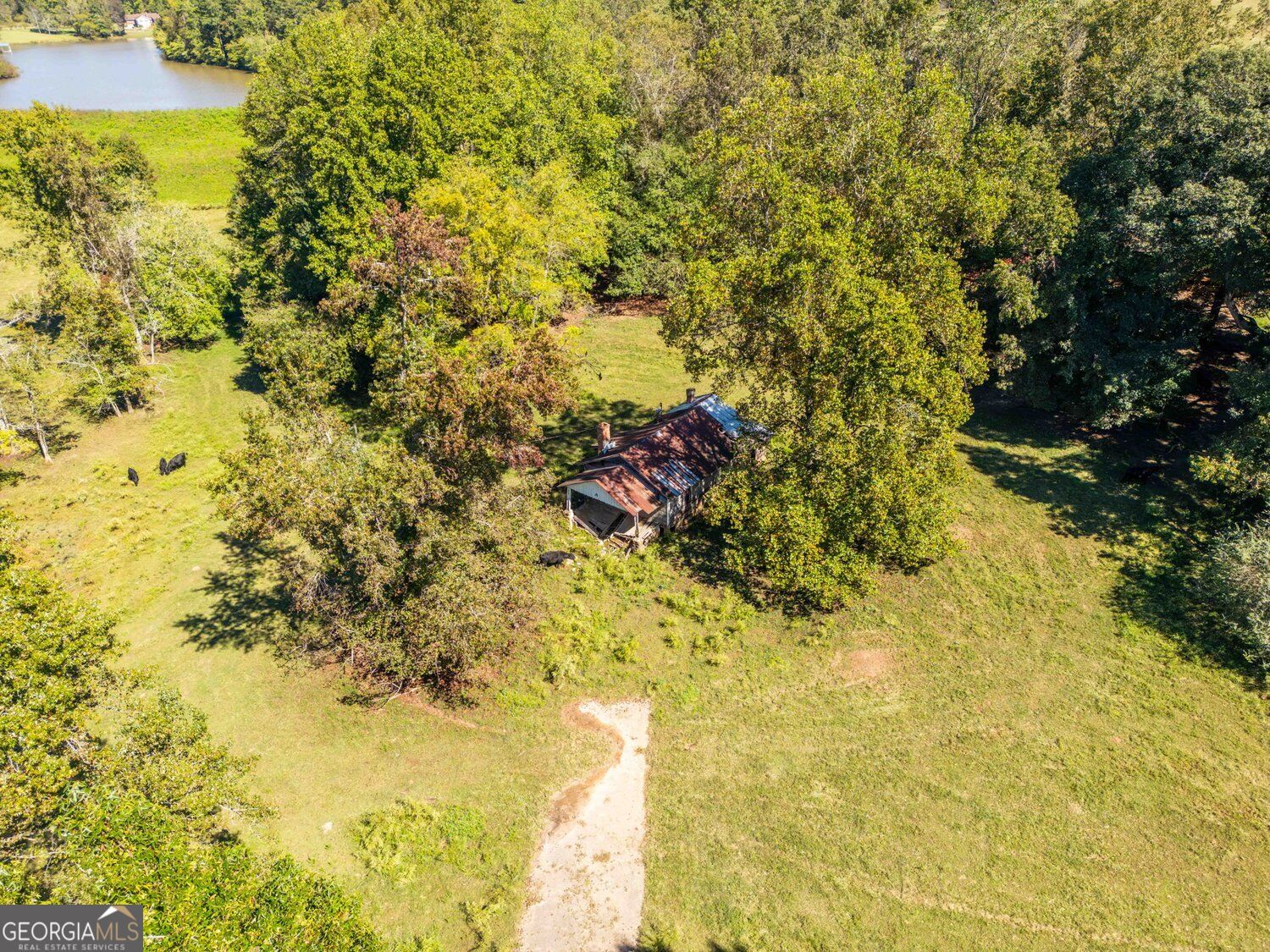 1340 441 Express Way Mount Airy GA 30563