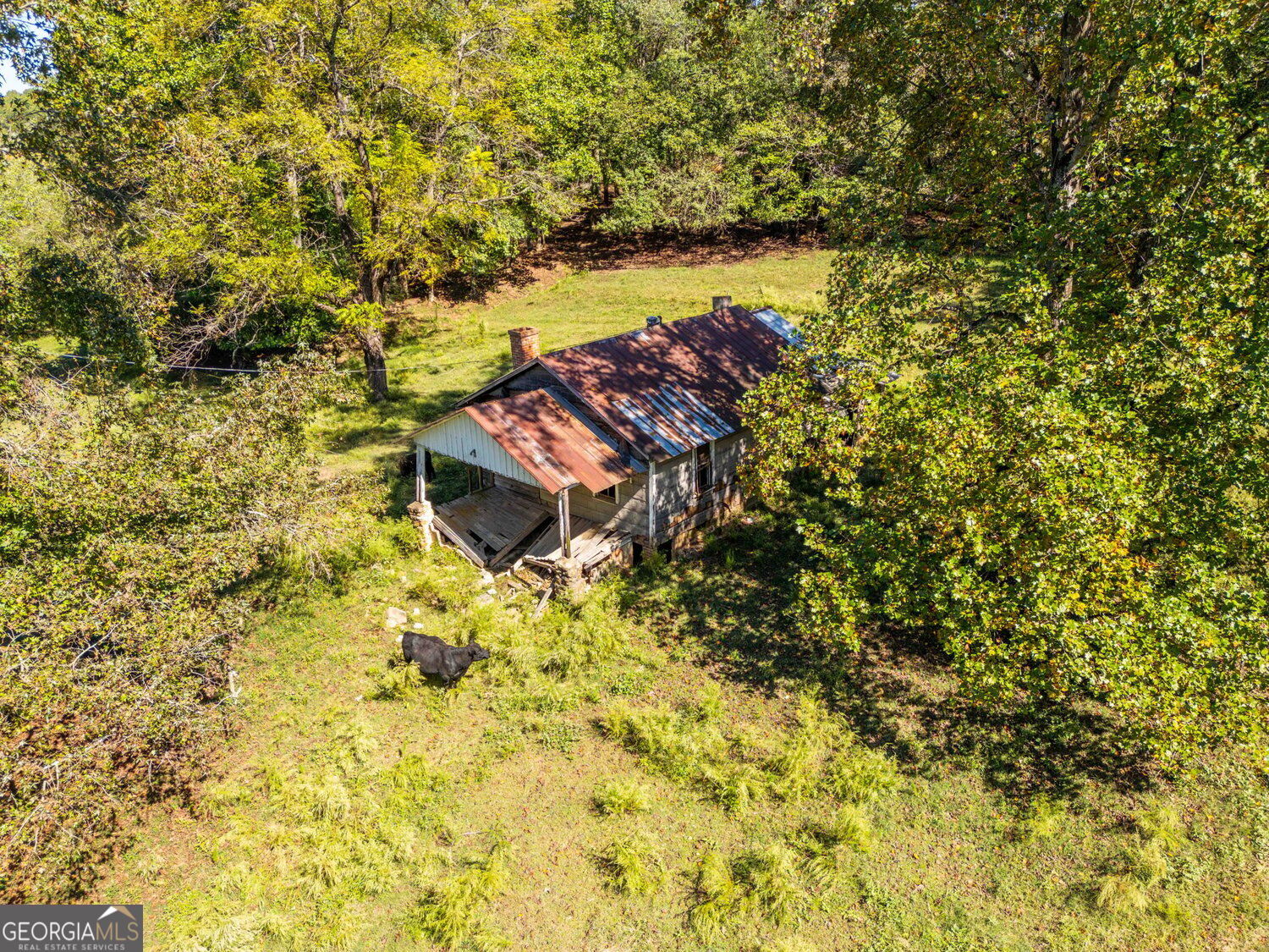 1340 441 Express Way Mount Airy GA 30563