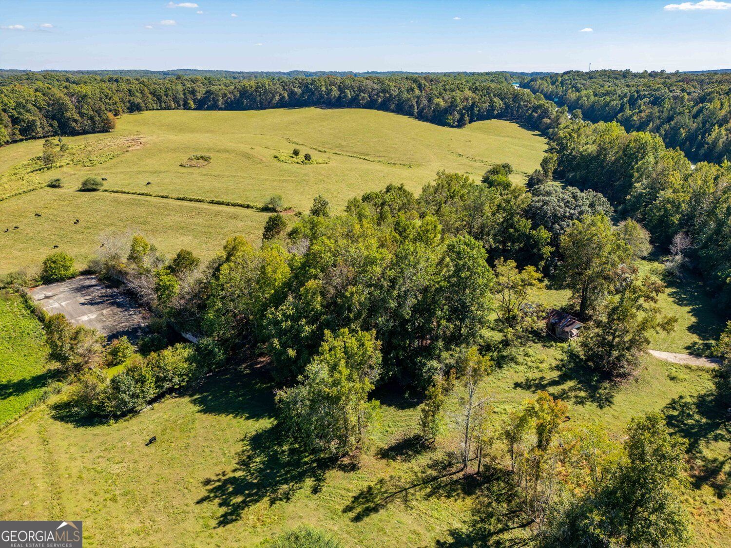 1340 441 Express Way Mount Airy GA 30563