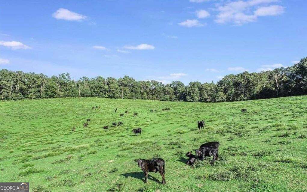 1340 441 Express Way Mount Airy GA 30563