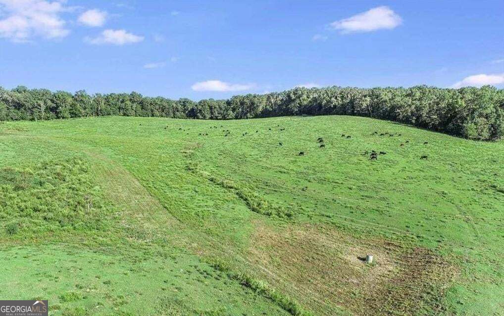 1340 441 Express Way Mount Airy GA 30563
