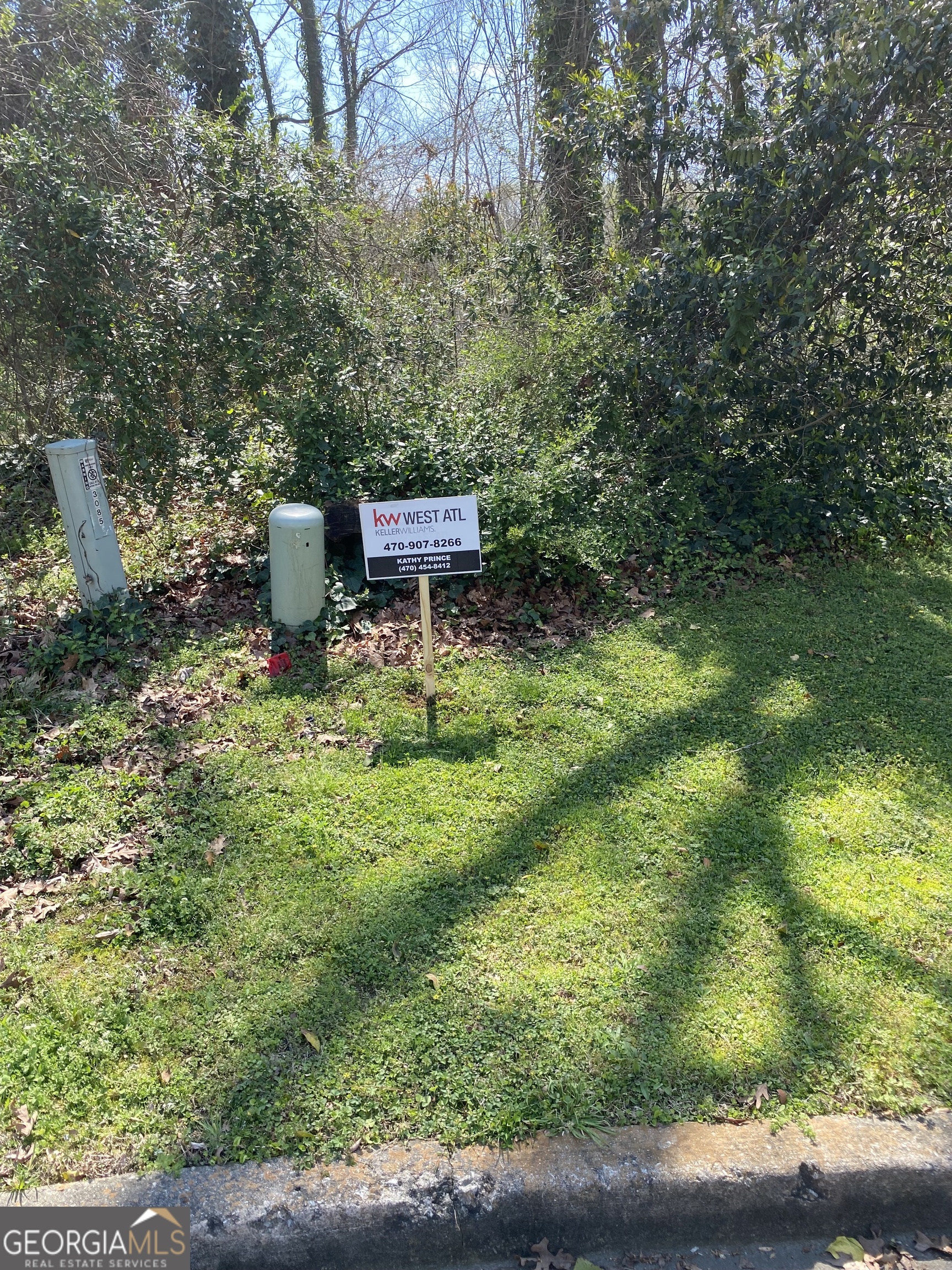 3085 Ashbury Lane Rex GA 30273