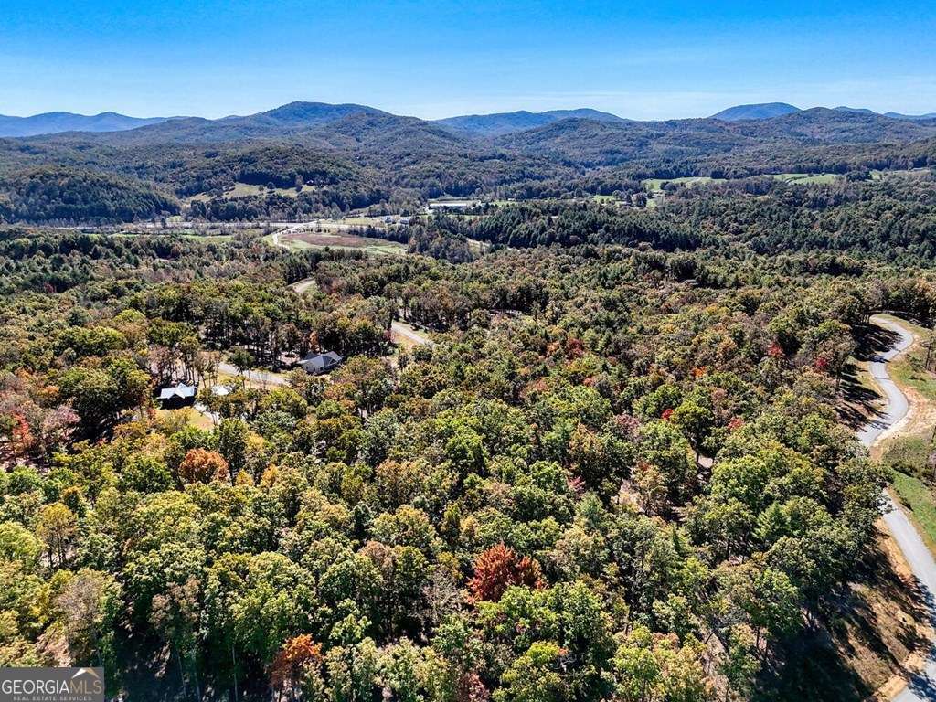 90 Split Creek Road Morganton GA 30560