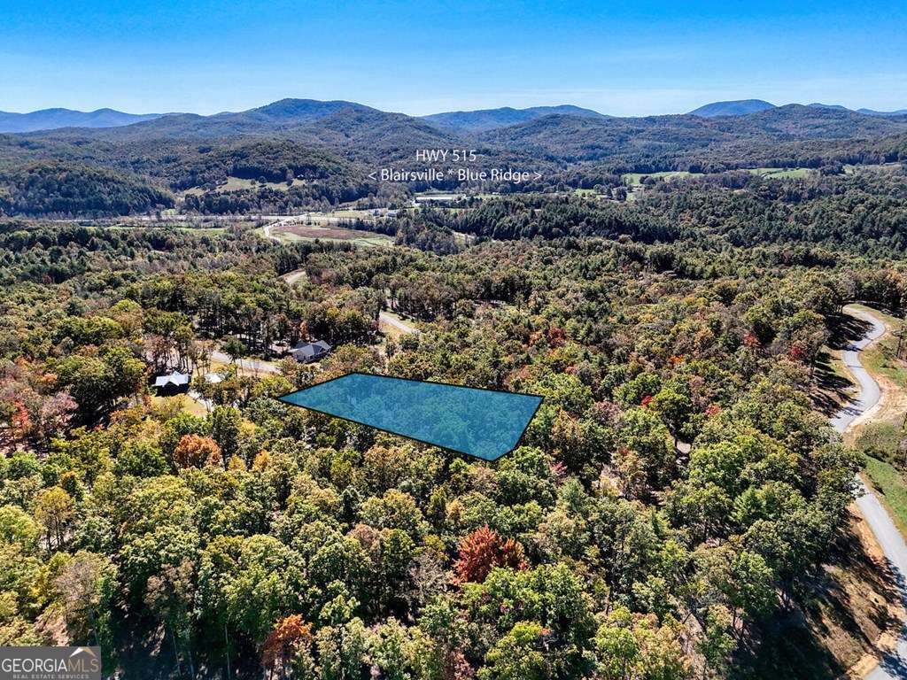 90 Split Creek Road Morganton GA 30560