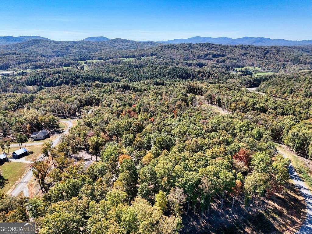 90 Split Creek Road Morganton GA 30560
