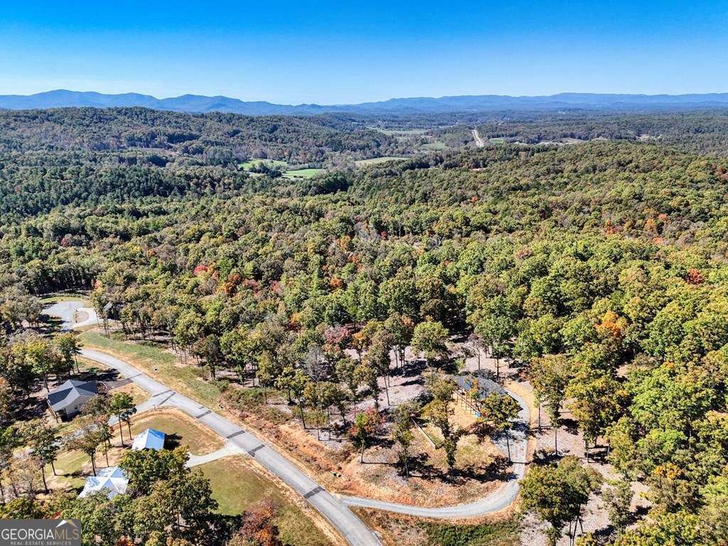 90 Split Creek Road Morganton GA 30560