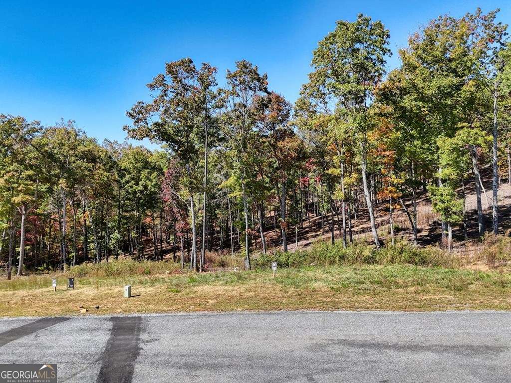 90 Split Creek Road Morganton GA 30560