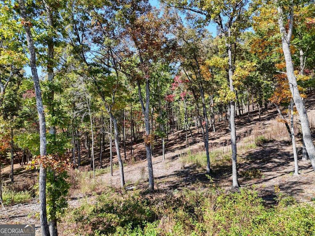 90 Split Creek Road Morganton GA 30560